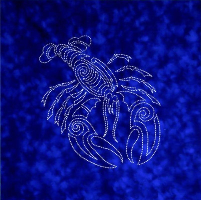 Lobster Sashiko panel pre-printed on blue fabric. Includes instructions. 16x16. Thread not included. Olympus white #1. Sale $22.40 Was  $28