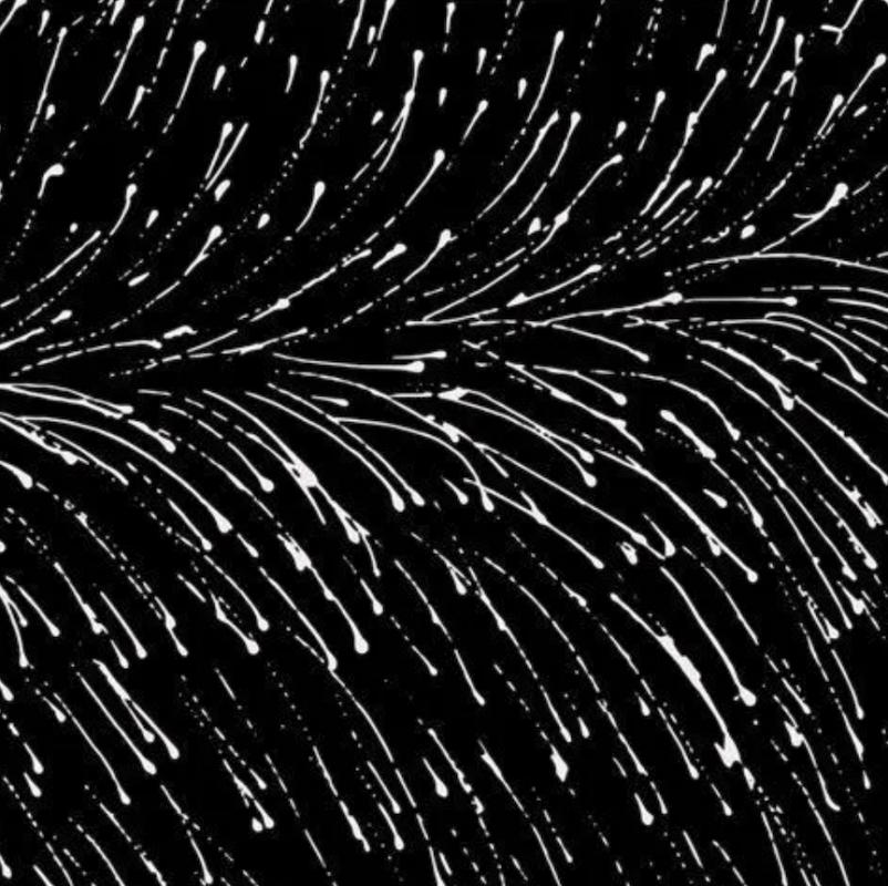 Dropping Seeds black 100% cotton