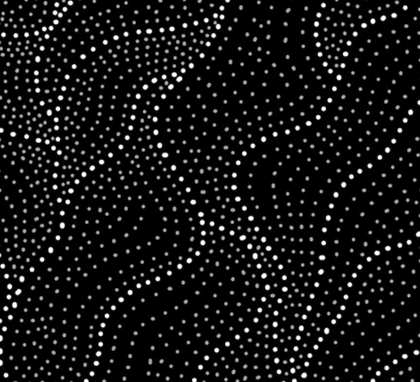 Land of Utopia black. 100% cotton