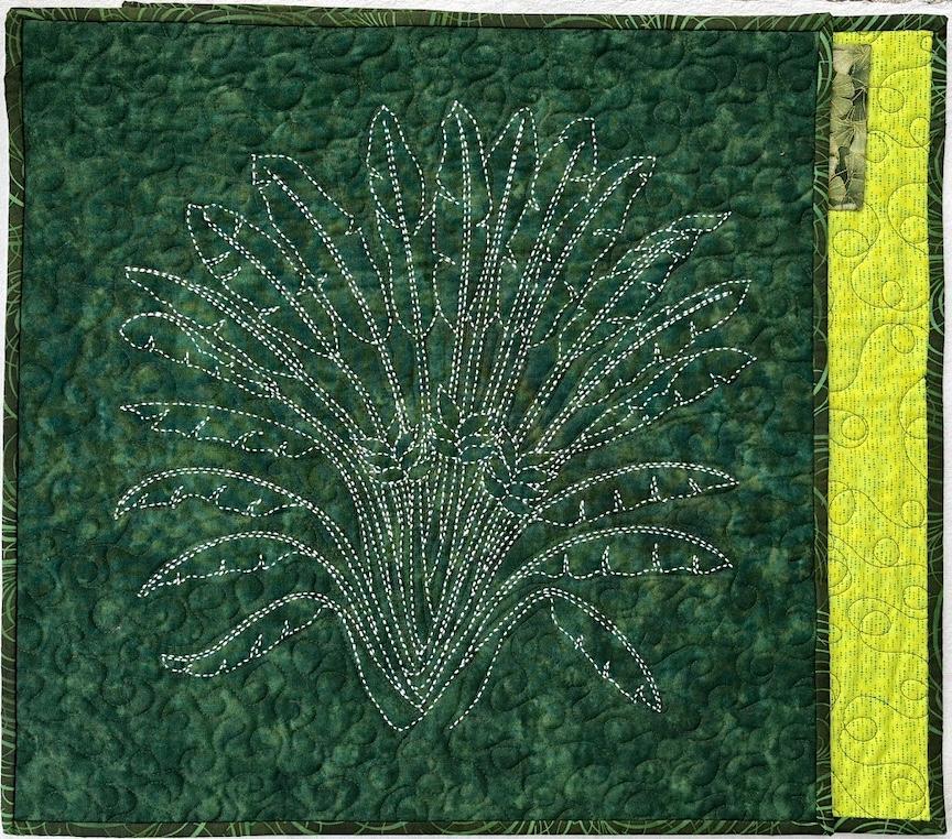 Traveller plant wall hanging with white Sashiko thread hand stitched. Background is machine quilted on green fabric with sleeve for hanging on back. 18 x 18" $50.00